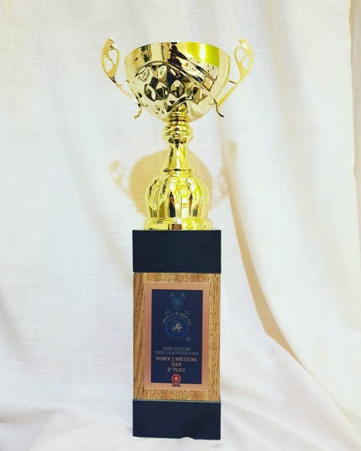 17-річна волинянка здобула «бронзу» на чемпіонаті світу із вільної боротьби