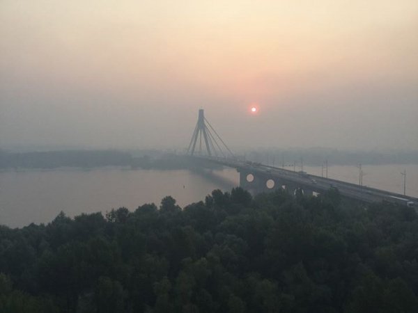 Київ у їдкому диму: горить ліс. ФОТО