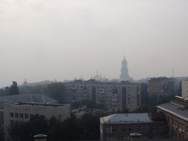 Київ у їдкому диму: горить ліс. ФОТО