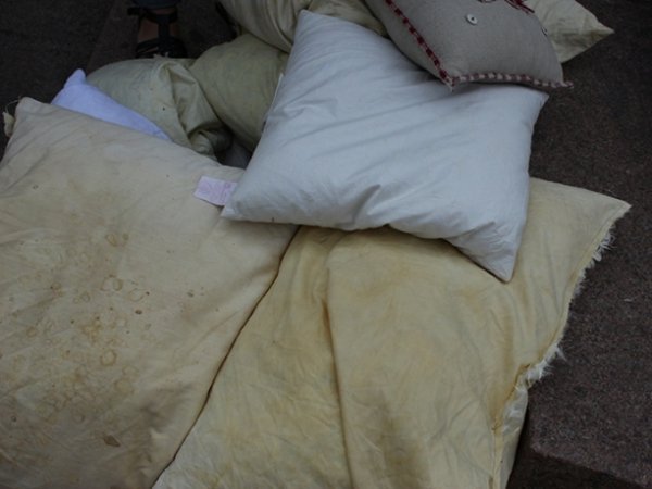 У Львові билися подушками. На черзі – Луцьк. ФОТО. ВІДЕО