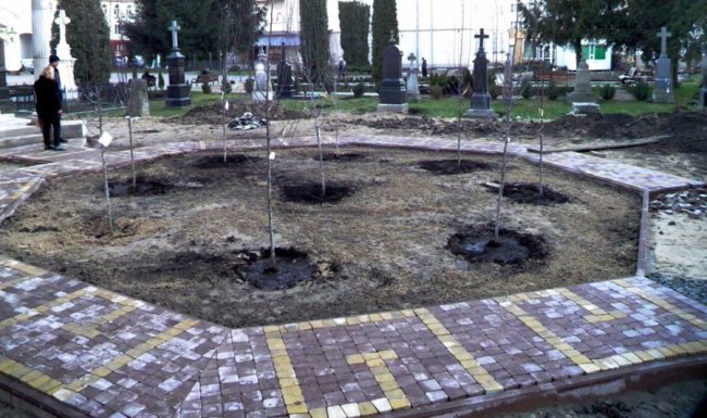 Лучанин розкритикував висадку дерев у центрі 