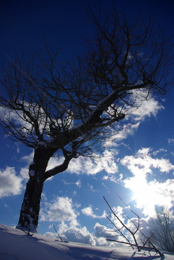 Карпати, Україна