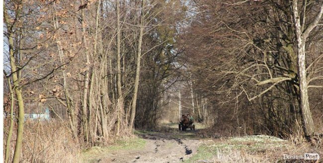 Мальовничі села в об'єктиві волинського фотографа. ФОТО