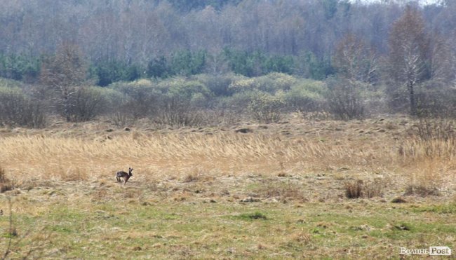 Мальовничі села в об'єктиві волинського фотографа. ФОТО