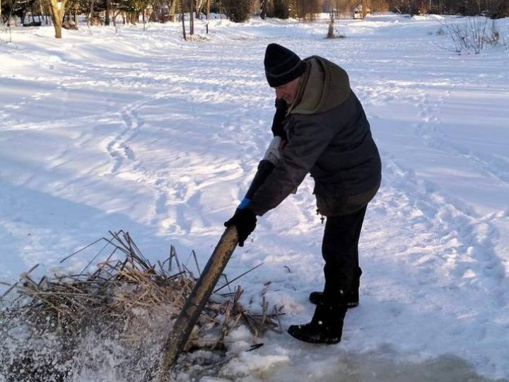 Як у Центральному парку в Луцьку рятують рибу
