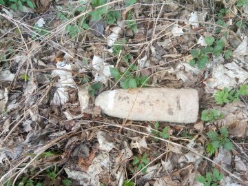 Волиняни, переорюючи поле, знайшли боєприпаси