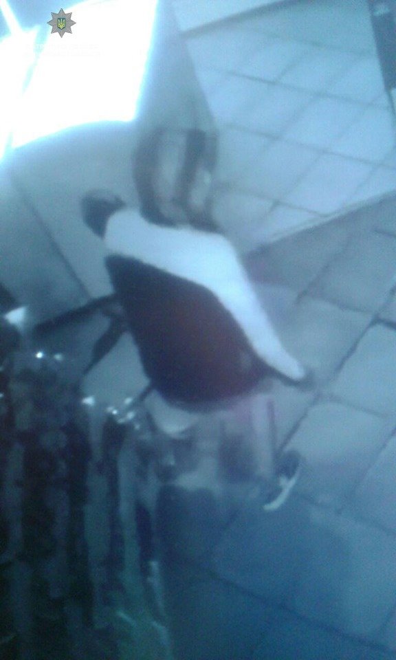 Тікав від поліцейських та пручався: у Луцьку спіймали грабіжника. ФОТО. ВІДЕО