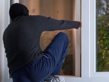 На Волині обікрали свиноферму