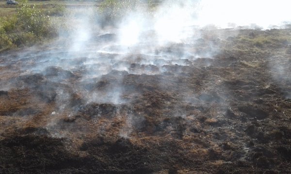 Вже четверту добу на Волині горять сільгоспугіддя. ФОТО