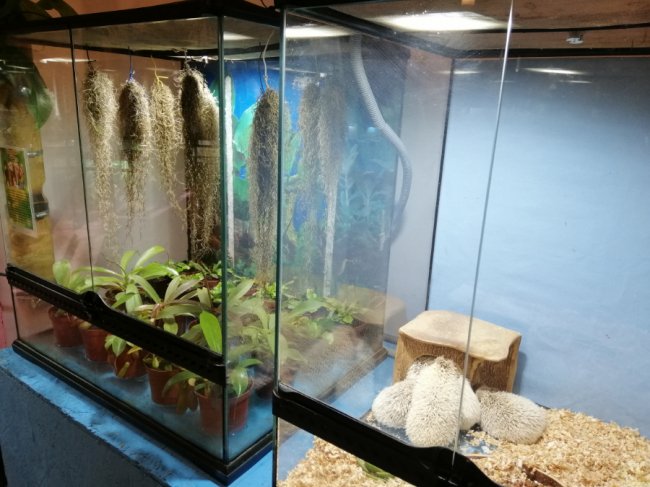 Поспішайте відвідати незвичайні виставки у ТРЦ «ПортCity»*