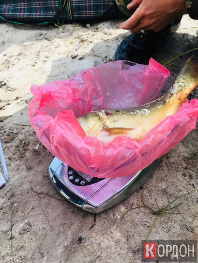 У Любомлі провели змагання серед рибалок. ФОТО