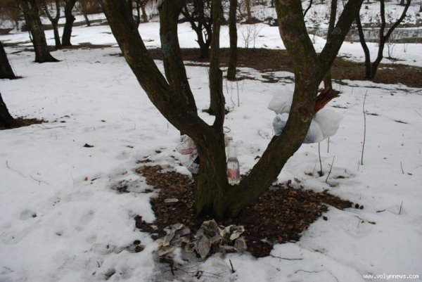 У парку 900-річчя Луцька ‒ лише один прибиральник. ФОТО