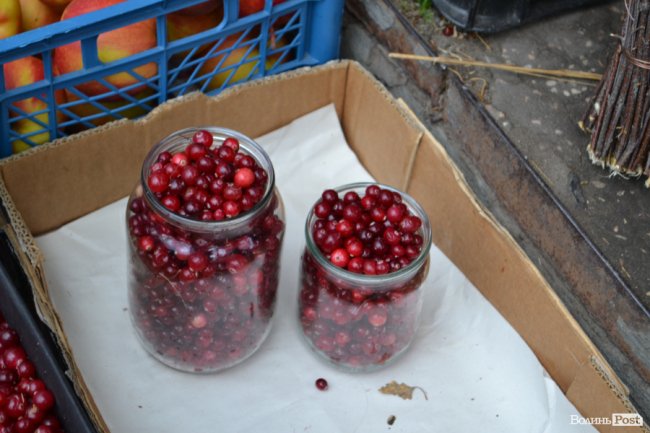 Гарбузи, журавлина та обліпиха: скільки на луцькому ринку коштують дари осені