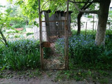 Таких парканів ще не зустрічали: демонтаж у Луцьку