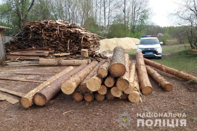 На Волині поліція вилучила у селян понад 100 колод деревини сумнівного походження 