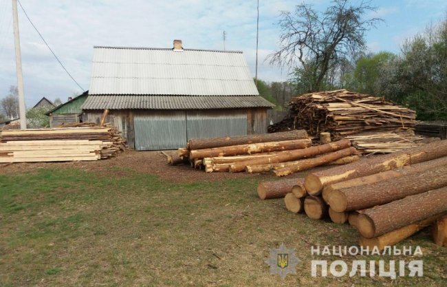 На Волині поліція вилучила у селян понад 100 колод деревини сумнівного походження 