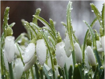 Якою буде погода на Волині у неділю, 28 березня 