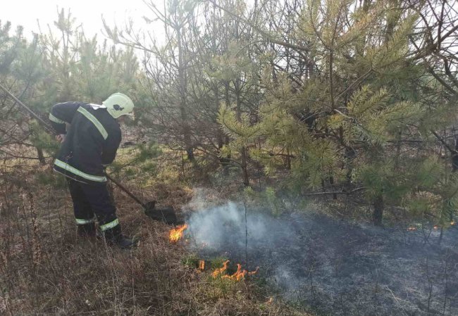 На Волині аж 40 рятувальників гасили 16  загорань сухої трави