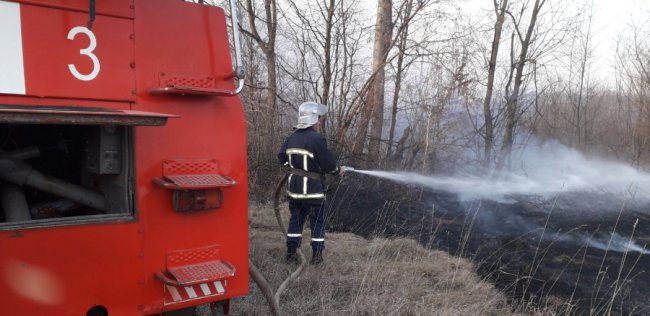 На Волині аж 40 рятувальників гасили 16  загорань сухої трави