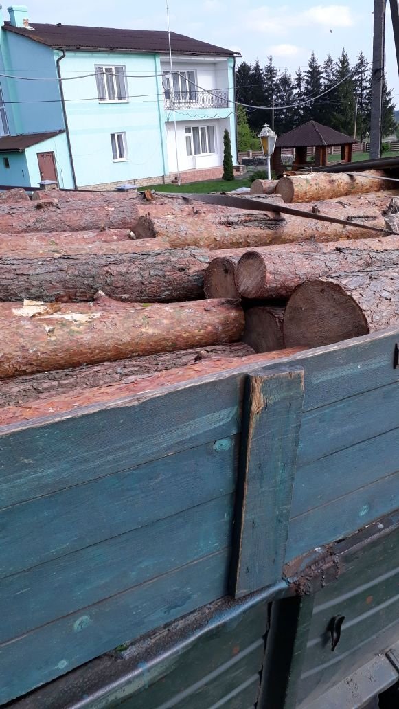 На Волині зловили авто, завантажене незаконно зрубаним лісом