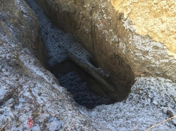 Колишній цукровий завод на Волині перетворюється на звалище