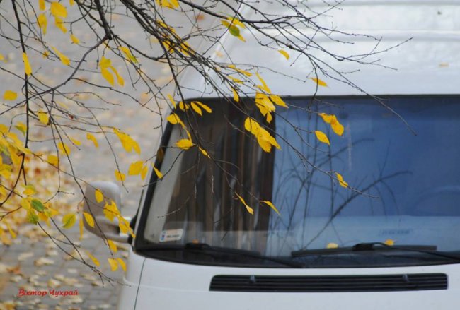 Листопад у Луцьку: соковиті фото