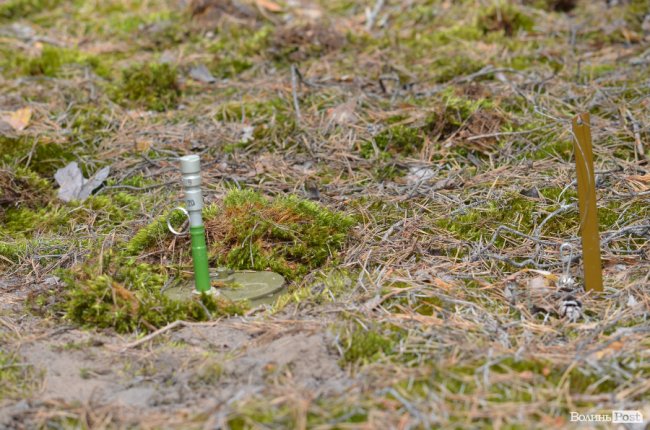 Війна у лісах Волині: підготовка загонів тероборони