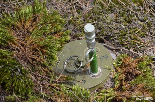 Війна у лісах Волині: підготовка загонів тероборони