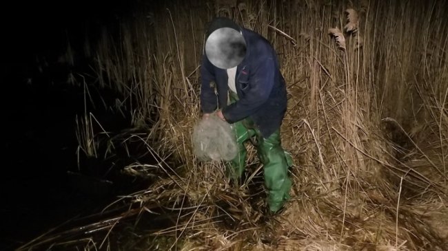 «Сімейне браконьєрство»: на Волині батько з сином ловлять рибу сітками