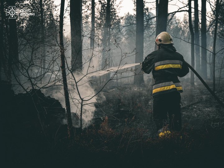 На Волині горів ліс. ВІДЕО
