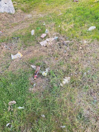 Двох волинян покарають за сміття на березі Стиру. ФОТО