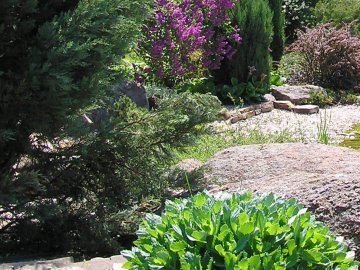 На Потебні у Луцьку хочуть облаштувати ботанічний сад за європейські гроші