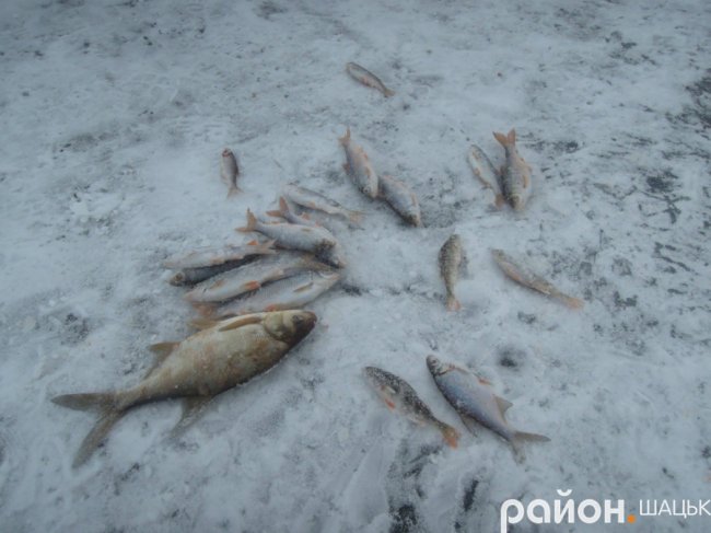 На Шацьких озерах триває риболовний сезон. ФОТО