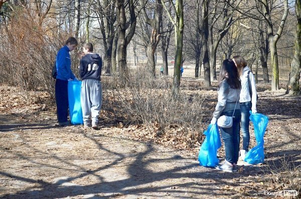 У луцькому парку зноситимуть дерева