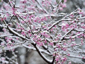 Погода у Луцьку та Волинській області на вівторок, 8 грудня