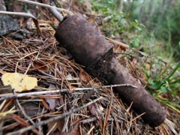 У дворі знайшли гранату