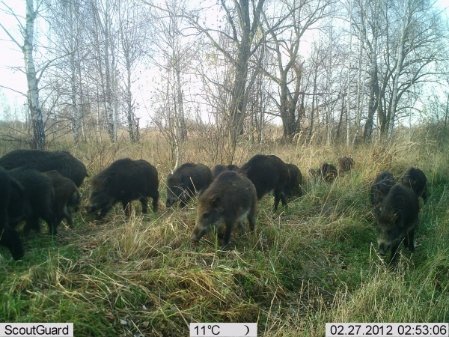 фото Дениса Вишневського