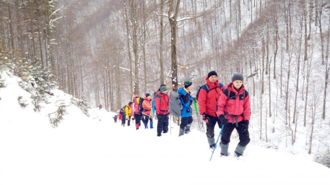 У горах на Закарпатті шукають зниклого туриста