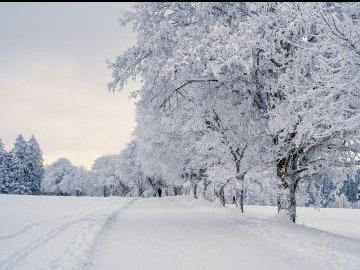 Погода в Луцьку та Волинській області на завтра, 31 січня