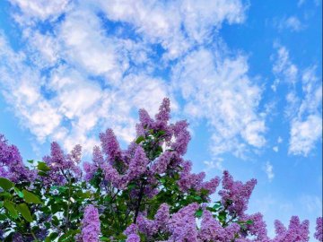 Добрі новини від ВолиньPost за 8 травня 