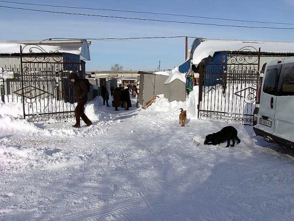 Як замітало Нововолинськ. ФОТО