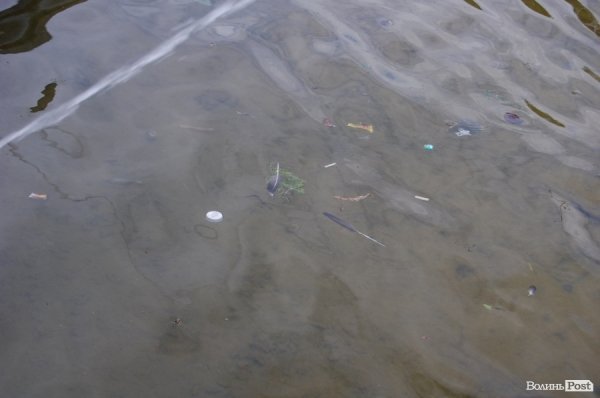 Пір'я, трава і пожовклі листочки теж тут