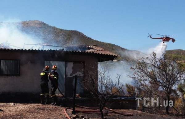 У Греції горять ліси. ФОТО