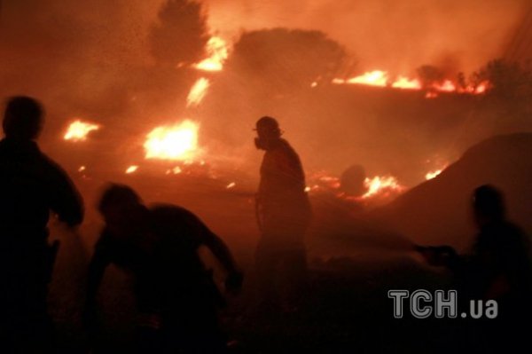У Греції горять ліси. ФОТО