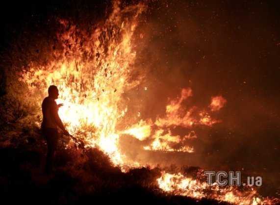 У Греції горять ліси. ФОТО
