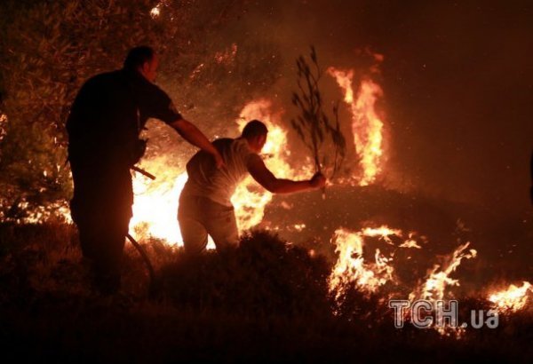 У Греції горять ліси. ФОТО