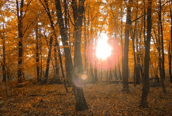 Фотовиставка Олега Гордіюка