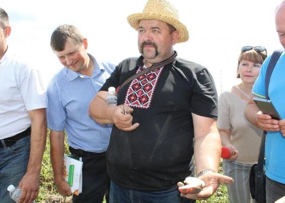 На Волині вирощують нові сорти картоплі за сучасною технологією. ФОТО