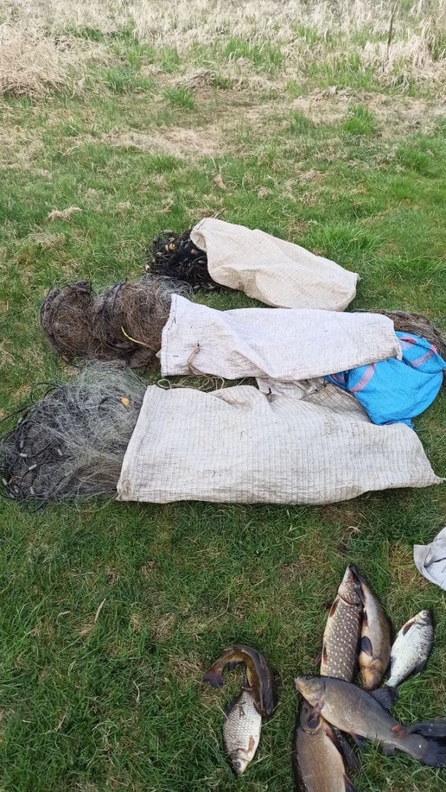 На Волині браконьєр наловив риби майже на 15 тисяч