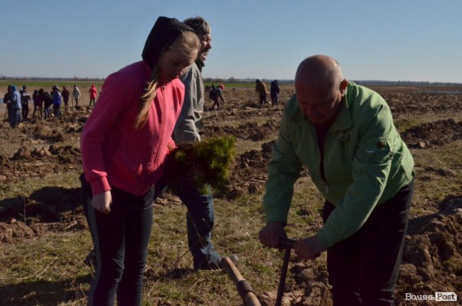Екологічна акція у Промені, або Як у шквальний вітер народжувався новий ліс. ФОТО